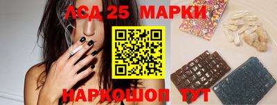 гидра Камышлов