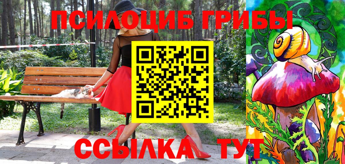 Арзамас  Галлюциногенные грибы Magic Shrooms  как найти наркотики  Вход с VPN  Псилоцибиновые грибы мицелий 