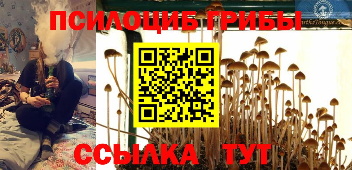Галлюциногенные грибы мицелий Арзамас
