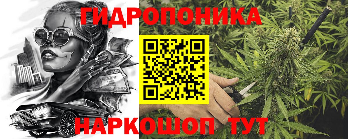 Бошки марихуана Amnesia Арзамас